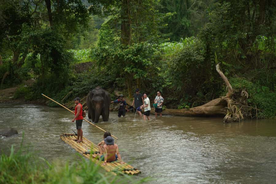 Chiang Mai: ATV Adventure 2-Hrs,Feeding,Rafting & Lunch Trip - Lunch in a jungle setting