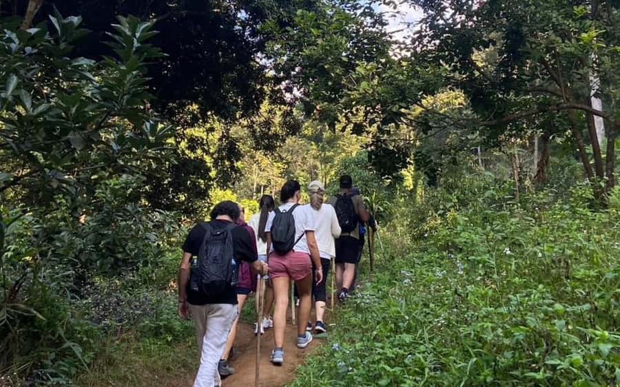 Chiang Mai: ATV Adventure, Jungle Hike & White Water Rafting - Guides make or break this package