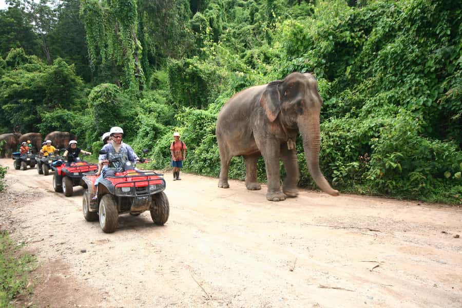Chiang Mai : ATV Tour + Whitewater Rafting - Key points at a glance