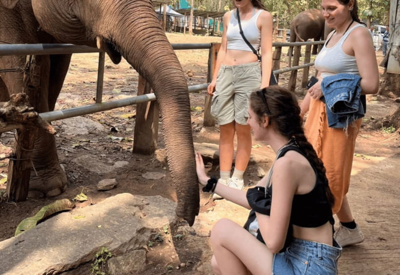 Chiang Mai: Bamboo Rafting with Hotel Transfers - Lunch, coffee, and the cafe stop