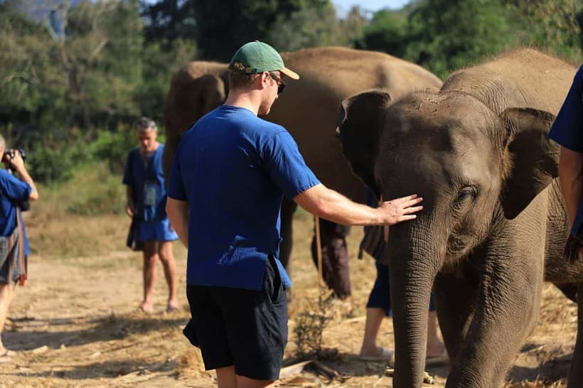 Chiang Mai: Elephant Sanctuary Bamboo Raft & Padthai Cooking - Meeting the elephants in traditional northern clothing