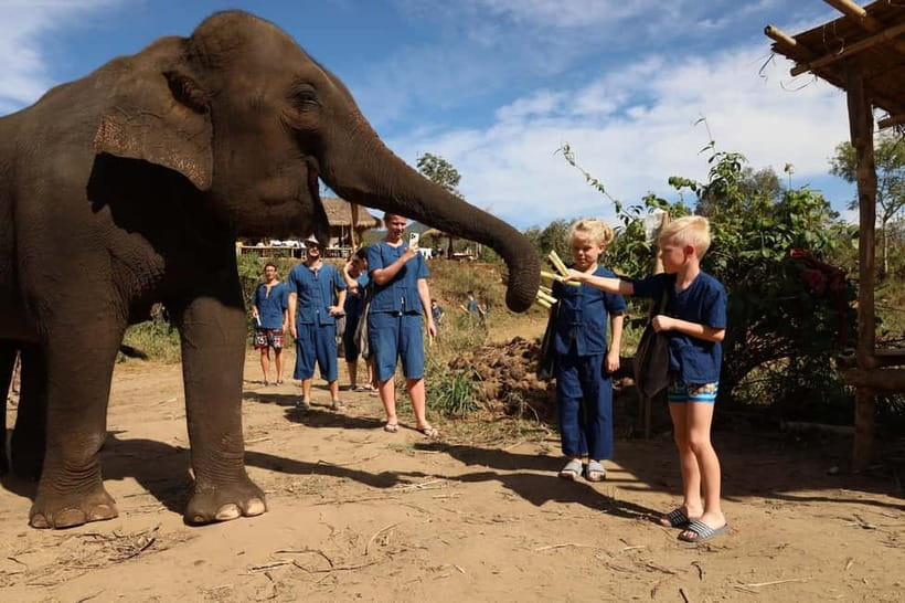 Chiang Mai: Elephant Sanctuary Bamboo Raft & Padthai Cooking - The drive from Chiang Mai to Inthanon country