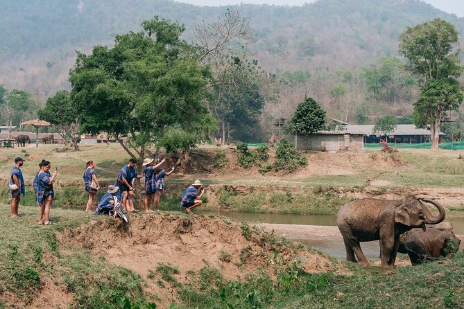 Chiang Mai Elephant Sanctuary, Bamboo Rafting and Waterfall Tour - Timing, meeting point, and comfort