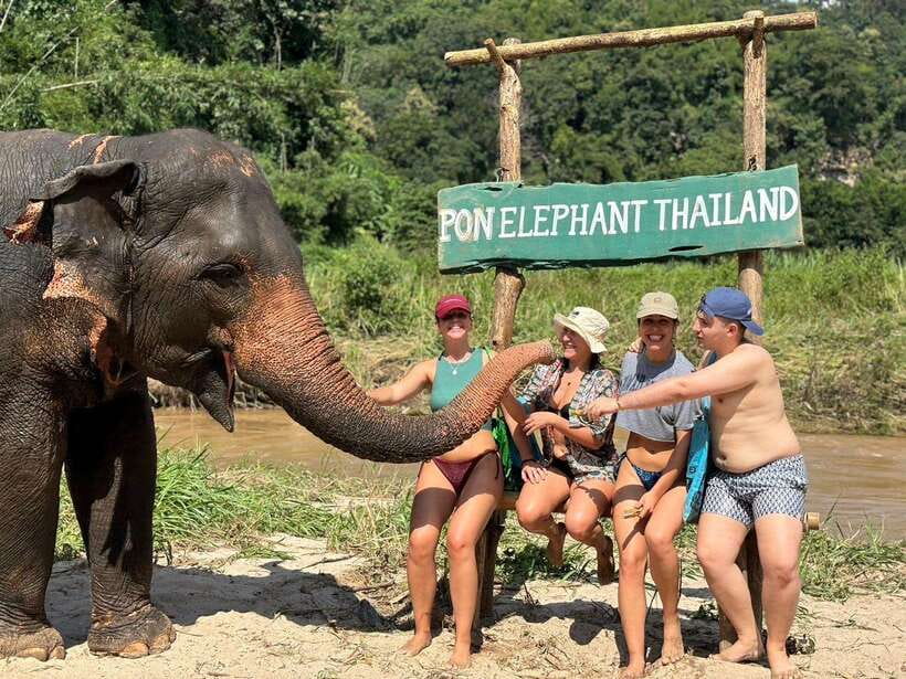 Chiang Mai: Elephant Sanctuary, Waterfall & Bamboo Rafting - Why this Chiang Mai day works so well