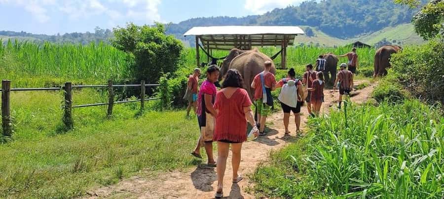 Chiang Mai Elephant Village Life: Long Neck & Bamboo Rafting - The ride from Chiang Mai to the mountain village
