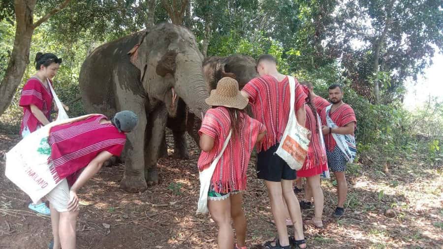 Chiang Mai Elephant Village Life: Long Neck & Bamboo Rafting - Bathing in the river without elephant riding