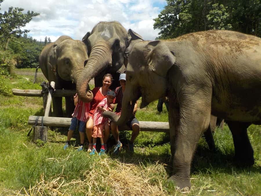 Chiang Mai Elephant Village Life: Long Neck & Bamboo Rafting - A local lunch with time to slow down