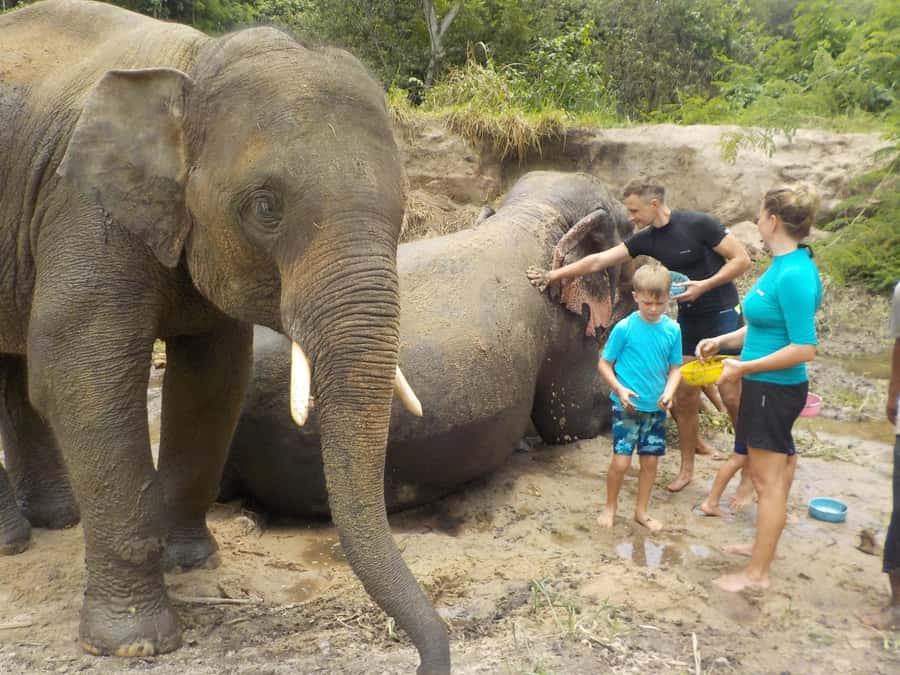 Chiang Mai Elephant Village Life: Long Neck & Bamboo Rafting - The Karen Hill Village visit and the missing Long Neck stop