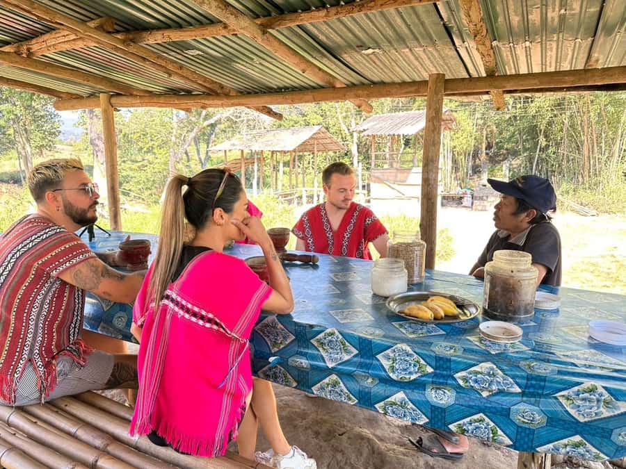 Chiang Mai Elephant Village Life: Long Neck & Bamboo Rafting - Meeting the mahouts and feeding the elephants