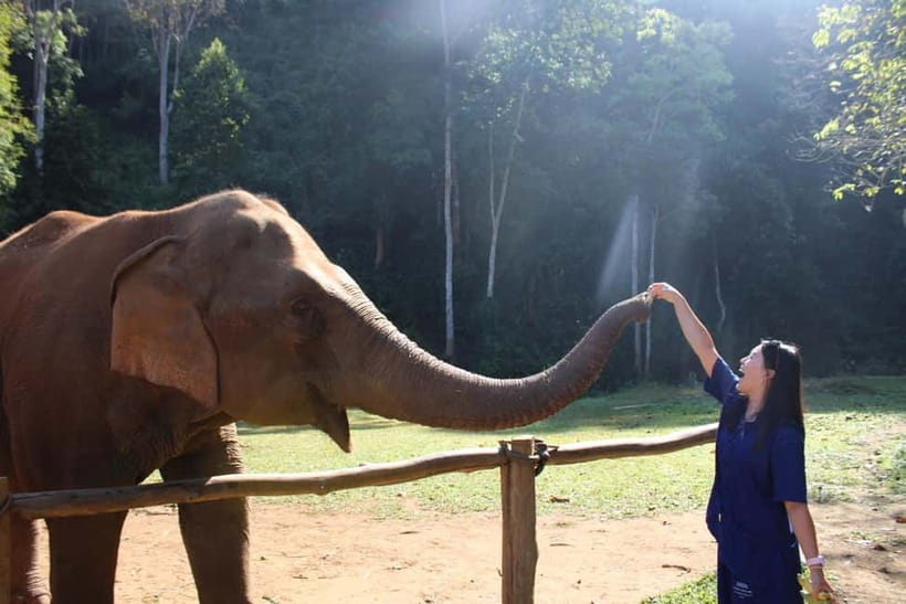 Chiang Mai: Elephants, Waterfall, and White Water Rafting - Three Northern Thailand adventures in one day