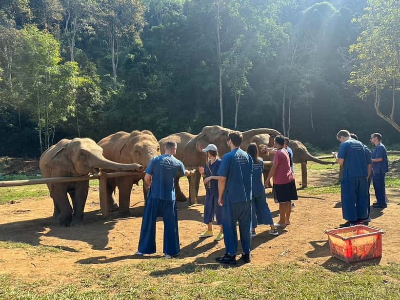 Chiang Mai: Elephants, Waterfall, and White Water Rafting - Thai lunch and a needed pause