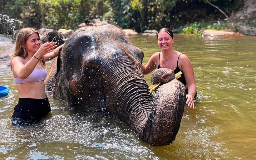 Chiang Mai: Jungle Trek, Elephants care & Bamboo Rafting - Key points to know before booking