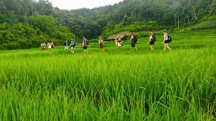Chiang Mai: Jungle Trek, Elephants care & Bamboo Rafting - Walking through forest, fields, and Karen country