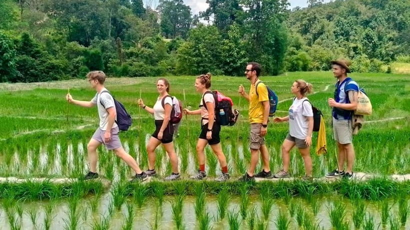 Chiang Mai: Jungle Trek, Elephants care & Bamboo Rafting - A market stop with a practical purpose