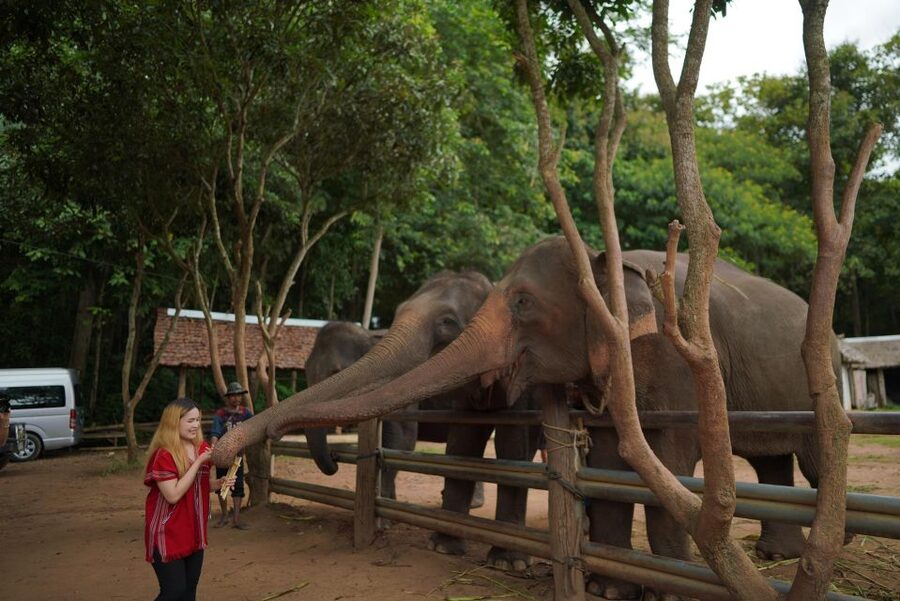 Chiang Mai: National Elephant Care, Rafting, & Ziplines Trip - The guides and the small-group feel