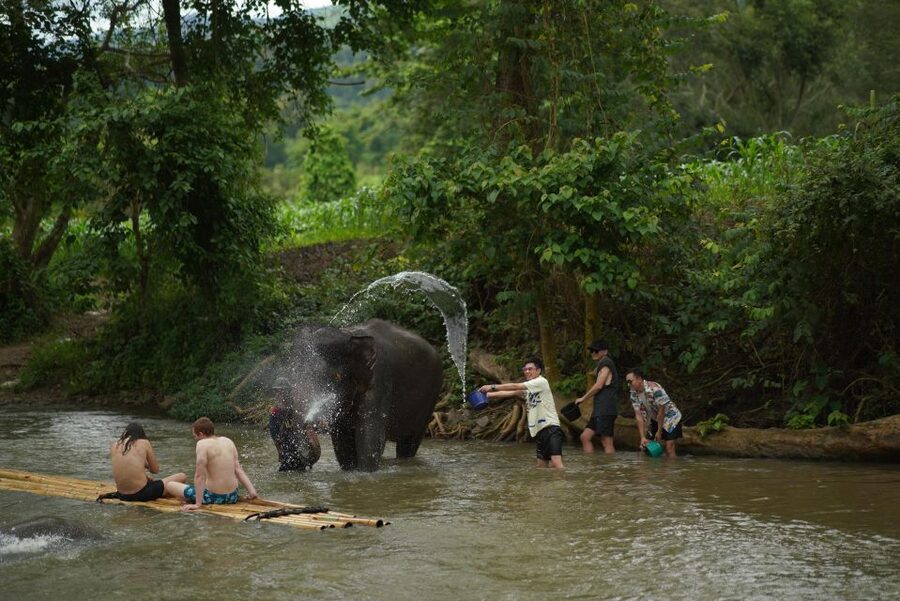 Chiang Mai: National Elephant Care, Rafting, & Ziplines Trip - Bamboo rafting on the Mae Wang River