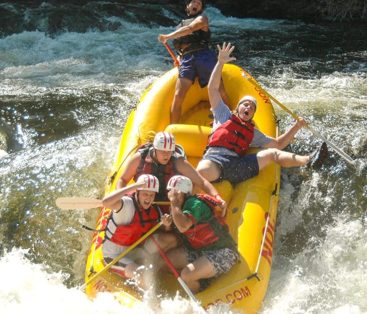 Clayton: Chattooga River Rafting on Class III Rapids - Key points at a glance