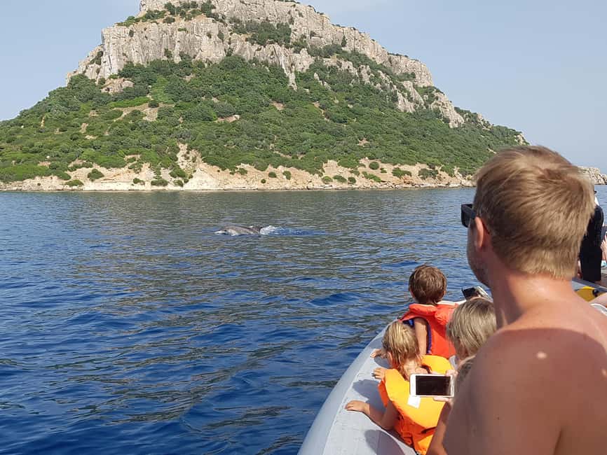 Dolphins: Dolphin Watching Tour and Capo Figari by Raft - Cala Moresca swim stop