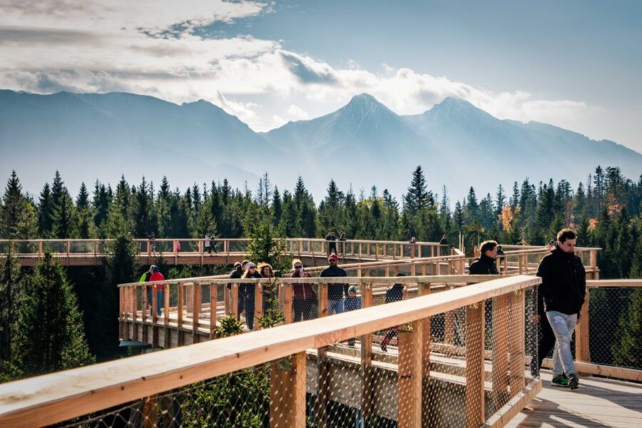 Dunajec River Gorge Rafting and Tree Top Walk from Krakow - The Dunajec Gorge by Wooden Raft
