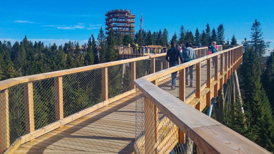 Dunajec River Gorge Rafting and Tree Top Walk from Krakow - The Real Cost of a $187 Day Trip