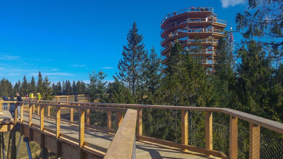Dunajec River Gorge Rafting and Tree Top Walk from Krakow - Should You Book the Dunajec and Bachledka Day?