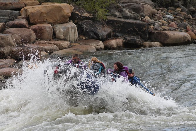 Durango ~ 2.5 "Splash "N" Dash" Family Rafting Lower Animas River - Why this short Lower Animas trip works for families