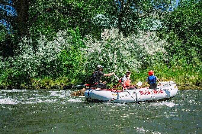 Durango 3/4 Day Rafting Trip with Lunch - Lower Animas River - Four hours from Durango into the river