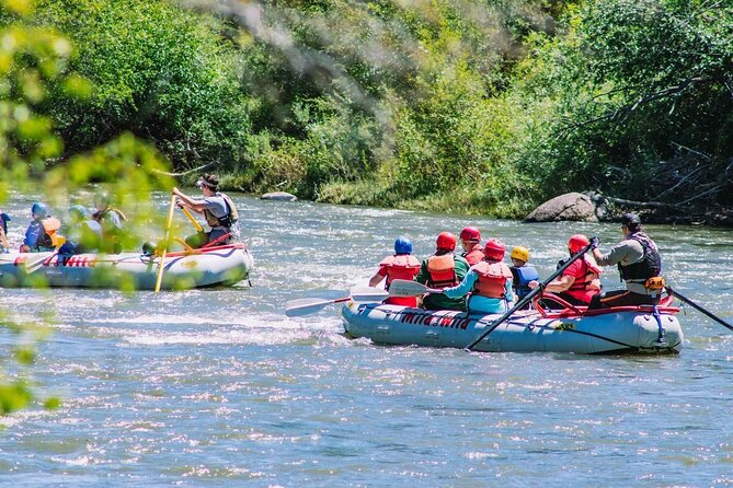Durango 3/4 Day Rafting Trip with Lunch - Lower Animas River - The one Class III test