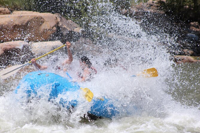 Durango Colorado - Rafting 1/2 Day - Who should book this Animas outing?