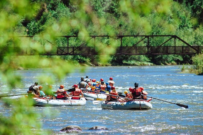 Durango Half Day Rafting Trip - Lower Animas River - Train Bridge Rapid and Baby Smelter