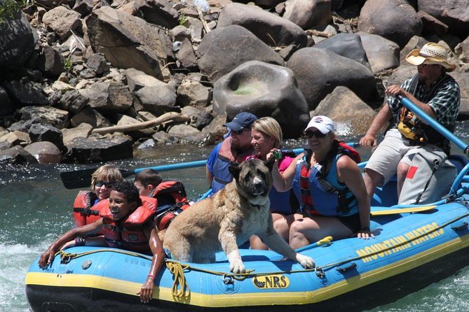 Durango Rafting - Quarter Day Family Friendly Trip - Stop 1: The Animas River