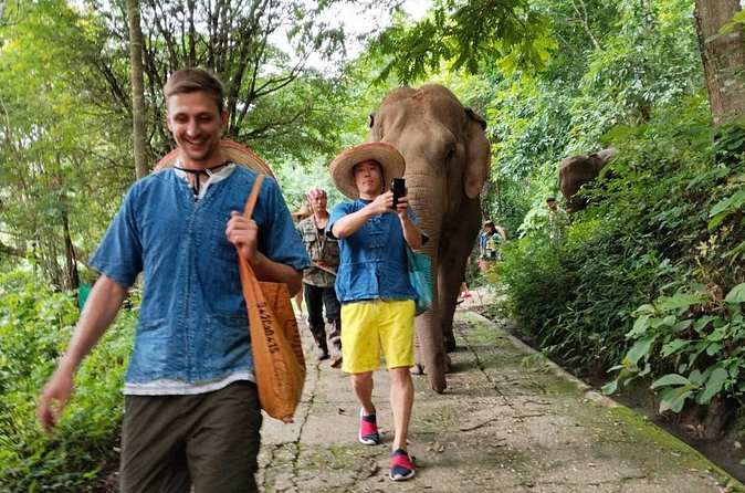 Ethical Elephant Visit and White Water Rafting in Chiang Mai - Who should book this experience