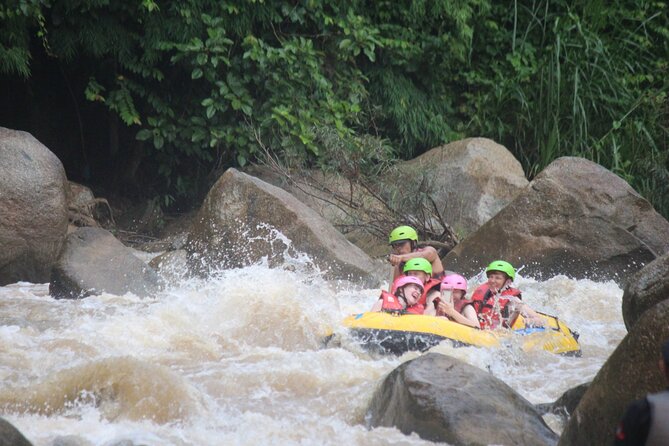 Ethical Elephant Visit and White Water Rafting in Chiang Mai - E-Co Adventure Camp and the elephant visit