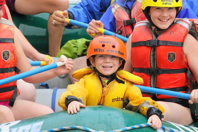 Family Friendly Gallatin River Whitewater Rafting - Gallatin National Forest from the water