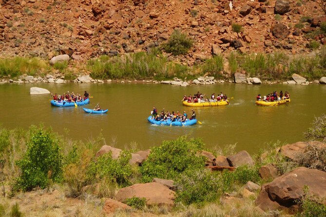 Fisher Towers Half-Day Rafting Day Trip from Moab - Stories, geology, and wildlife from the river