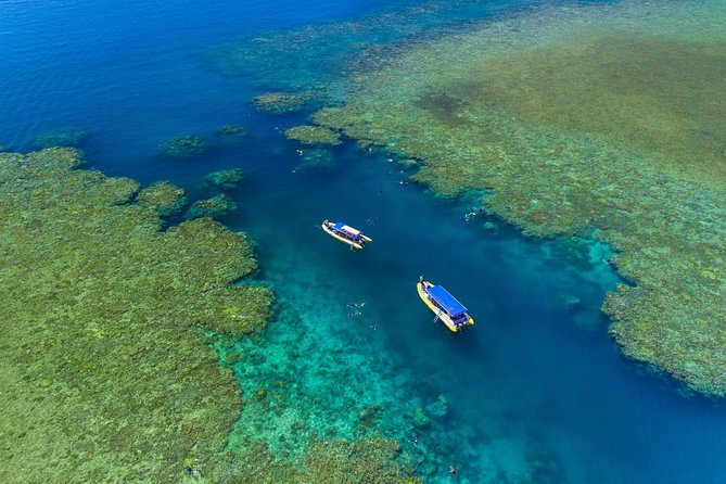 Fly Raft Package: Whitehaven Beach, Snorkel and Scenic Flight - Snorkeling on the fringing coral reef