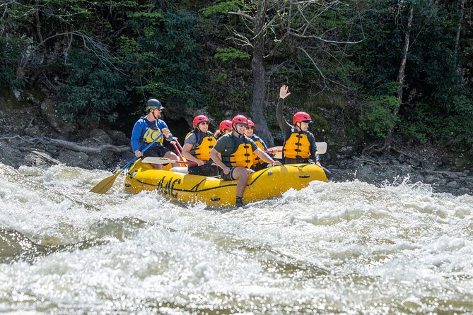French Broad Gorge Whitewater Rafting Trip - From Asheville to the French Broad Gorge