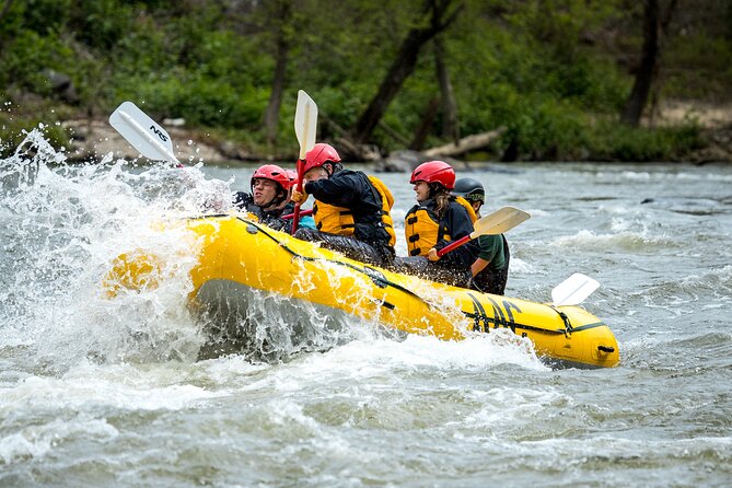 French Broad Gorge Whitewater Rafting Trip - What Section 9 feels like on the water