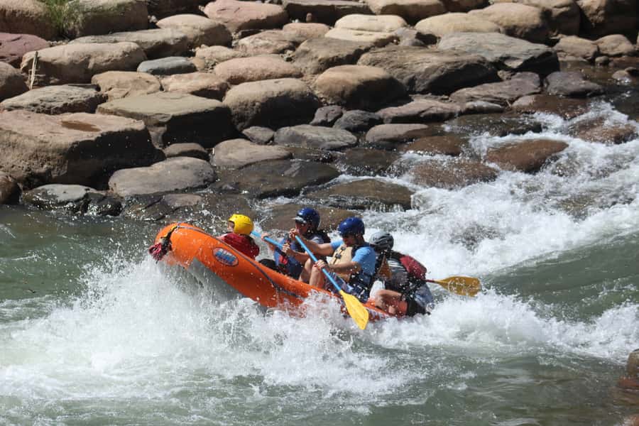 From Durango: Animas River Whitewater Rafting - Booking details worth knowing