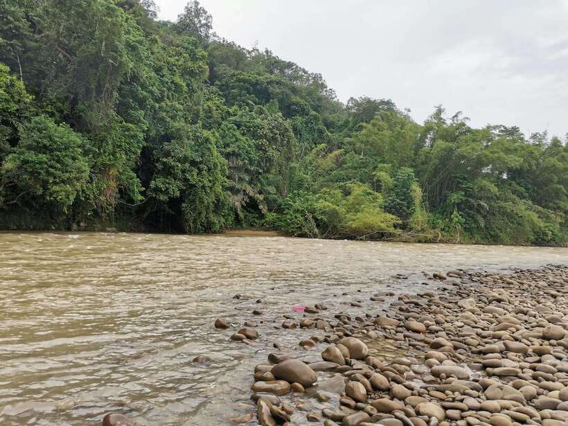 From Kota Kinabalu : Kiulu White Water Rafting Tour + meal - How demanding is the paddling?