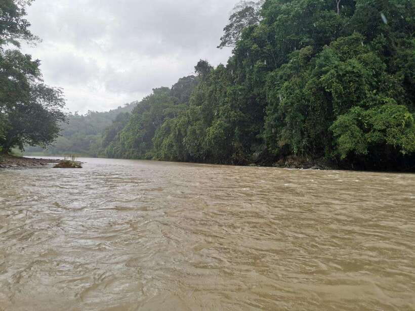 From Kota Kinabalu : Kiulu White Water Rafting Tour + meal - Who should book this Kiulu tour?