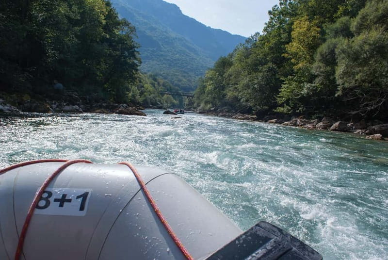 From Kotor: Montenegro Tara Rafting - Why Tara River is worth the long ride from Kotor