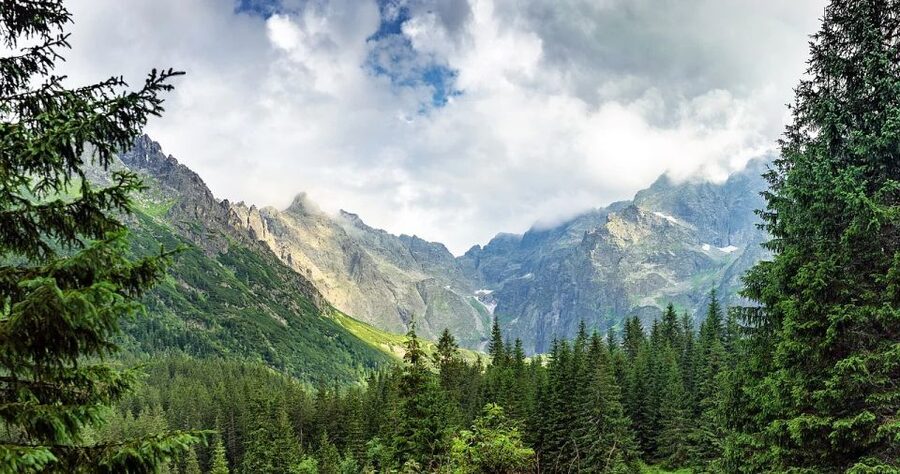 From Krakow: Zakopane and Dunajec River Rafting Tour - The Dunajec River raft through Pieniny Gorge