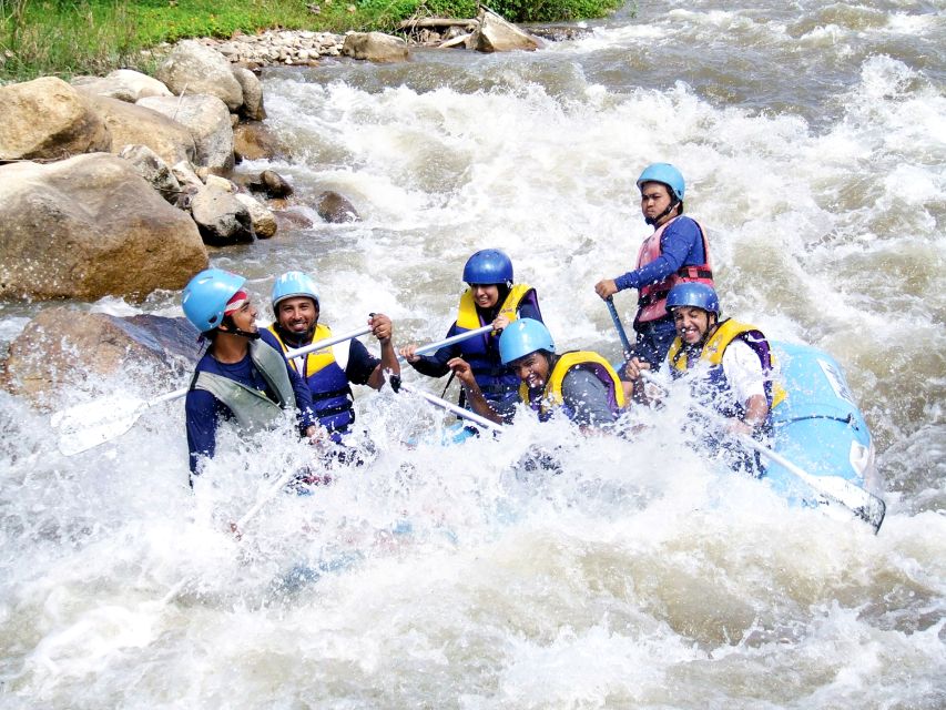 From Phuket: Elephant Care Experience with Rafting & Zipline - At a glance