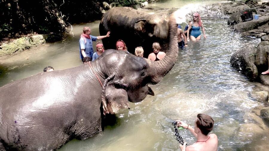 From Phuket: Elephant Care Experience with Rafting & Zipline - What to bring and who should book