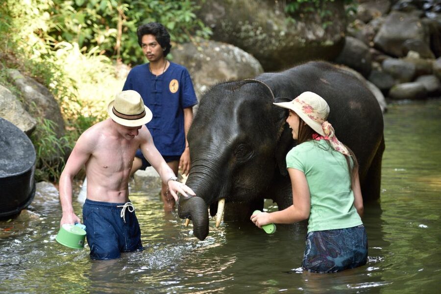 From Phuket: Elephant Care Experience with Rafting & Zipline - A short zipline and rope bridge