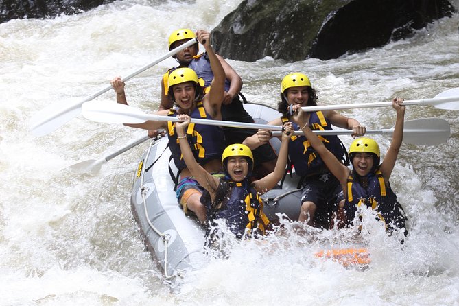 Full-Day Ayung River White Water Rafting and Ubud Tour - Rafting the Ayung River through Bali’s green interior