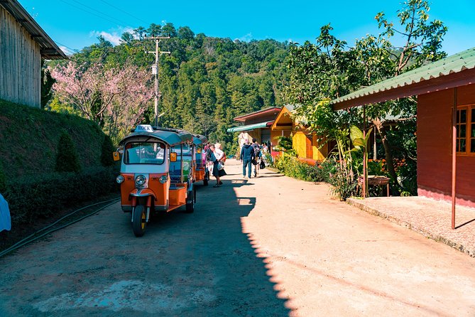 Full-Day Guided Tuk Tuk Chiang Mai Adventure and Rafting - Thai lunch and a slower middle of the day