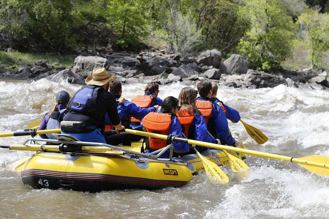 Glenwood Springs Half-Day Rafting Trip - Why the guide matters so much