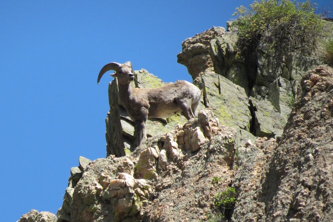 Half day Beg/Inter Rafting near Ft Collins - Estes Park - Boulder - Is $99 a fair price?